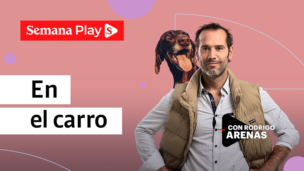 Perro en el carro | Rodrigo Arenas en EduCANdo Manadas