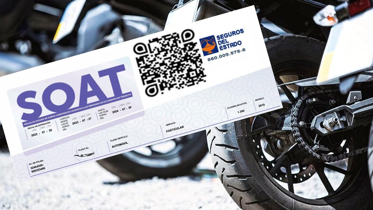 Un proyecto de ley, que está a la espera de sanción presidencial, establece beneficios para los conductores de este tipo de automotores.