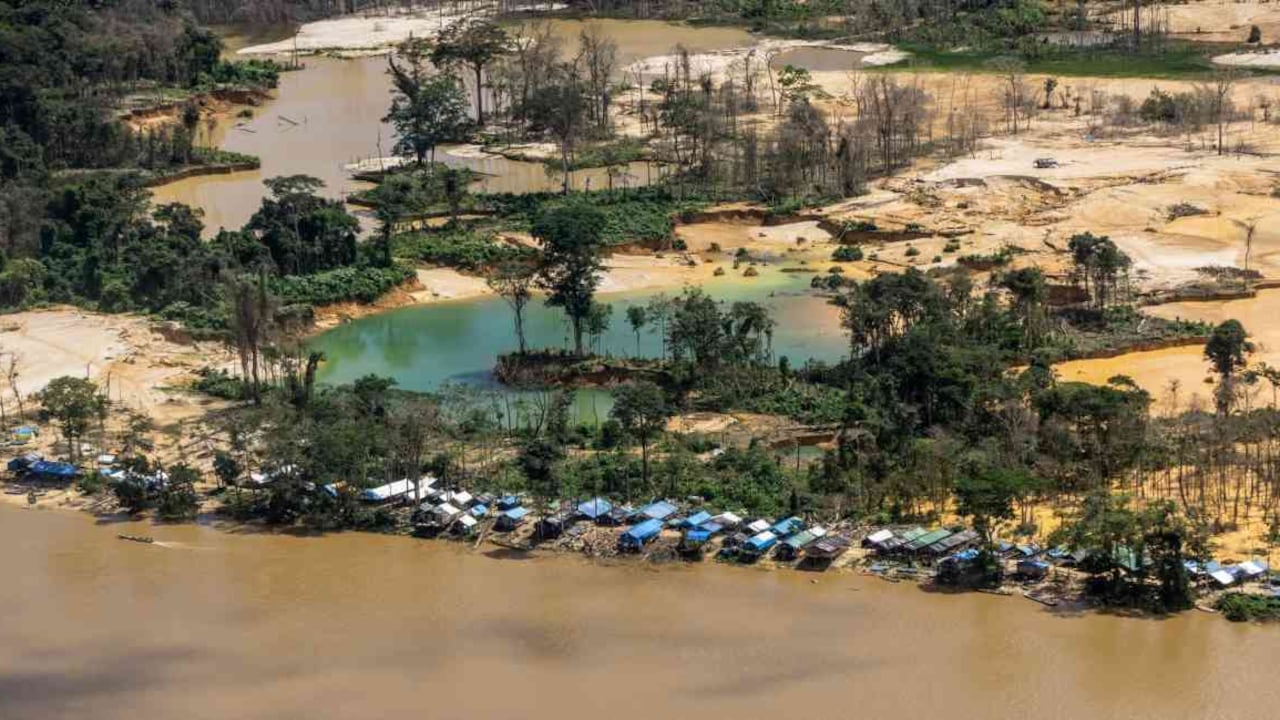Tierra indígena Yanomami, Roraima, Brasil.Foto: Rogério Assis – Instituto Socioambiental.