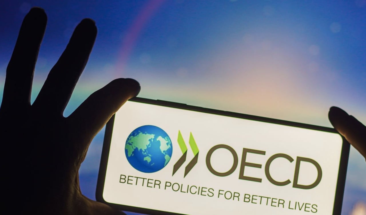 La OCDE destacó los procesos de los pequeños mineros de regiones como Cauca