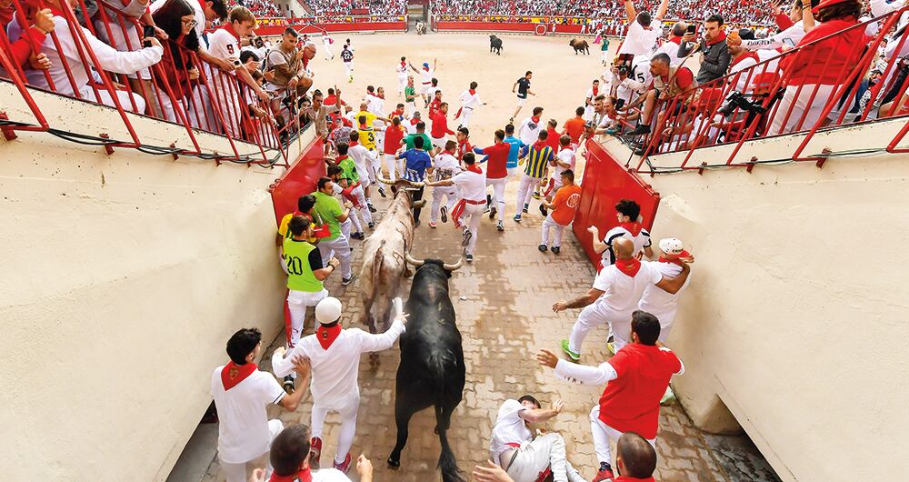 Aunque miles disfrutan de estas fiestas y enseñan a los niños sobre estos encierros, también se desata la ira de los defensores de los animales.