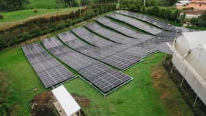 Flores Silvestres, la empresa colombiana que le apuesta a la sostenibilidad gracias a la energía fotovoltaica; ¿de qué trata?