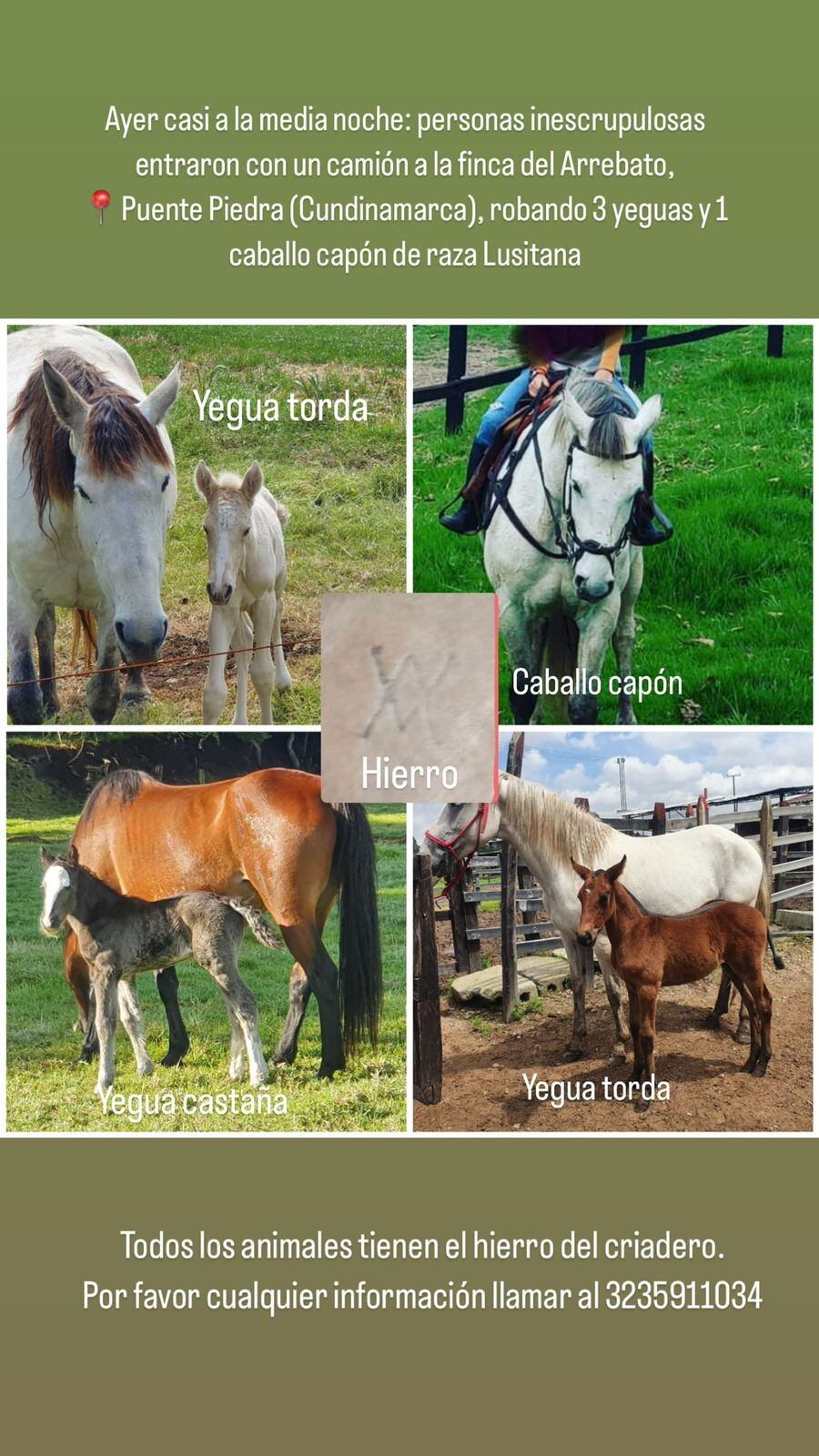 Roban caballos en finca de Cundinamarca