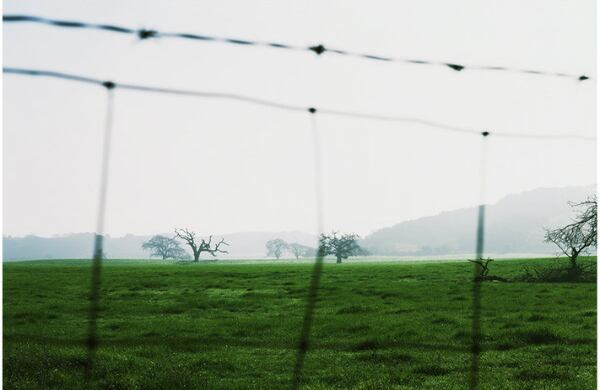 Con el acento puesto en devolver a la vida esas historias, Gonzales-Day busca transformar paisajes aparentemente vacíos en lugares de memoria y resistencia. En estos momentos el artista se encuentra trabajando en un proyecto titulado "Run Up" para el que está recreando en video uno de los linchamientos ocurridos en California. 