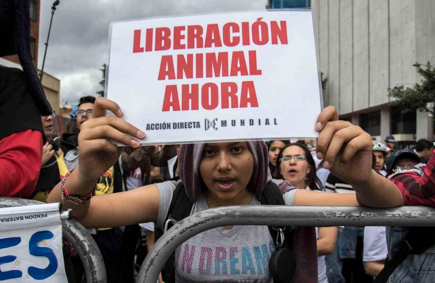 Foto: Sergio Ivan Acero Yate