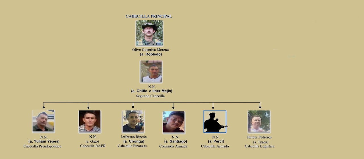Subestructura 39 Arsenio Niño, disidencias de las Farc.