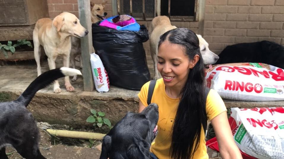 22 perros y 8 gatos esperan ser adoptados.