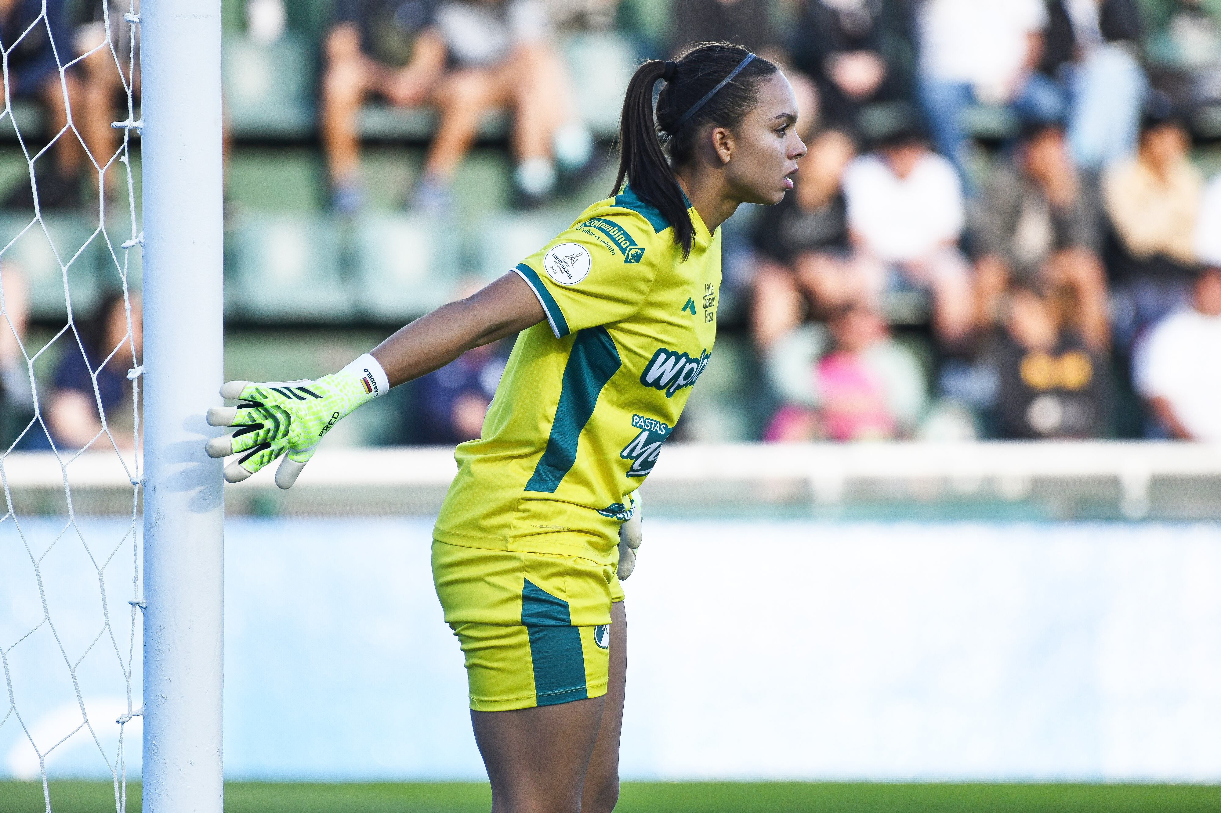 BUENOS AIRES, ARGENTINA - OCTOBER 18: Luisa Agudelo, goalkeeper of Deportivo Cali, looks on during the final match between Corinthians and Deportivo Cali as part of the Copa CONMEBOL Libertadores Femenina 2025 at Florencio Sola Stadium on October 18, 2025 in Buenos Aires, Argentina. (Photo by Federico Peretti/Getty Images)