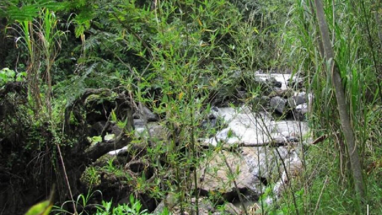 Este es un municipio ideal para tomar unos días de descanso.