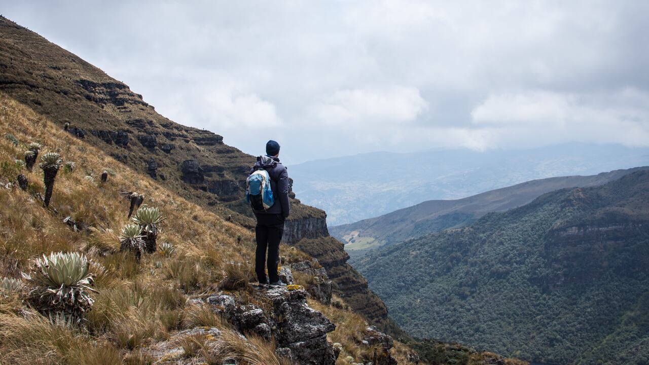 ProColombia promueve el fortalecimiento del turismo desde la inversión para cerrar brechas en conectividad y servicios, potenciando destinos no tradicionales.