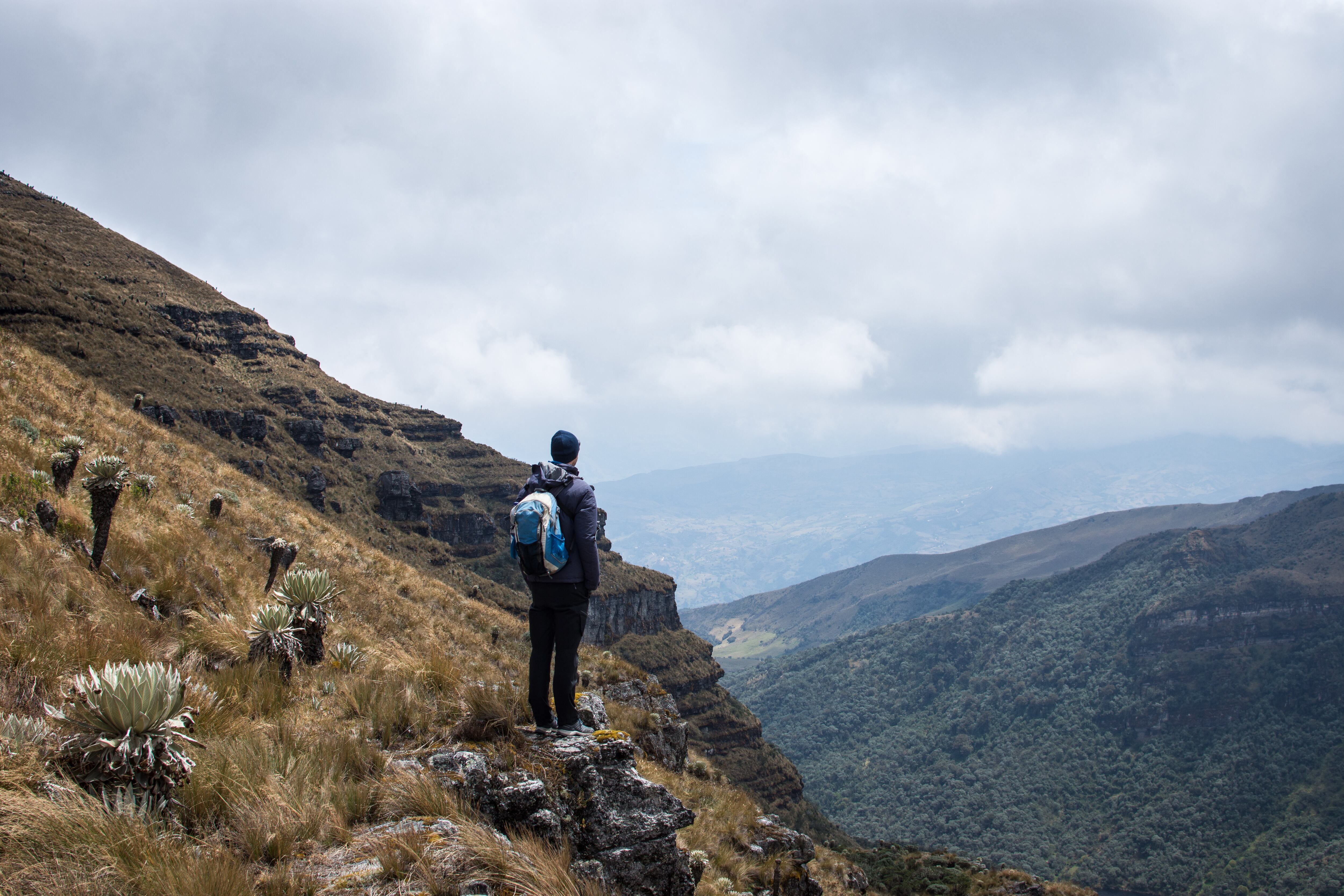 ProColombia promueve el fortalecimiento del turismo desde la inversión para cerrar brechas en conectividad y servicios, potenciando destinos no tradicionales.