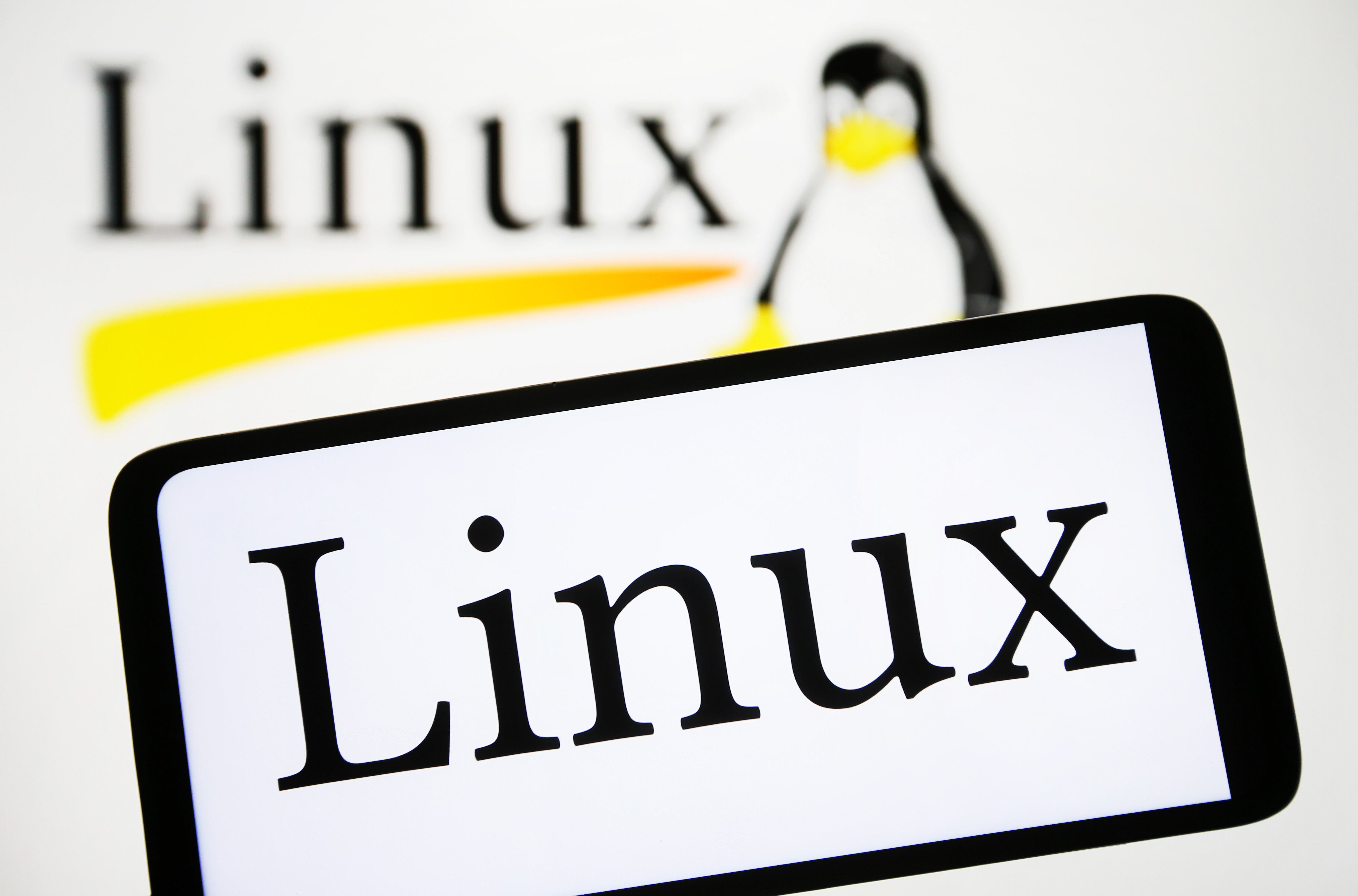 Linux fue lanzado oficialmente por primera vez el 17 de septiembre de 1991.