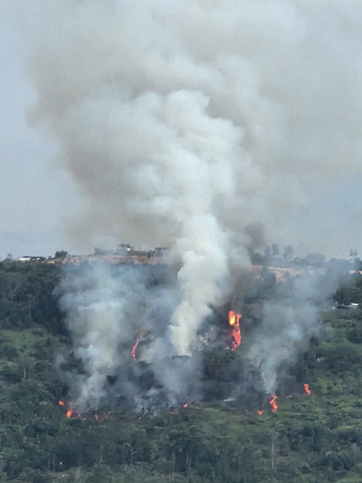 El incendio presuntamente habría sido provocado.