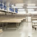 Aterrador caso de necrofilia: trabajador de una morgue abusó de decenas de cadáveres de niñas y mujeres. Foto Gettyimages.