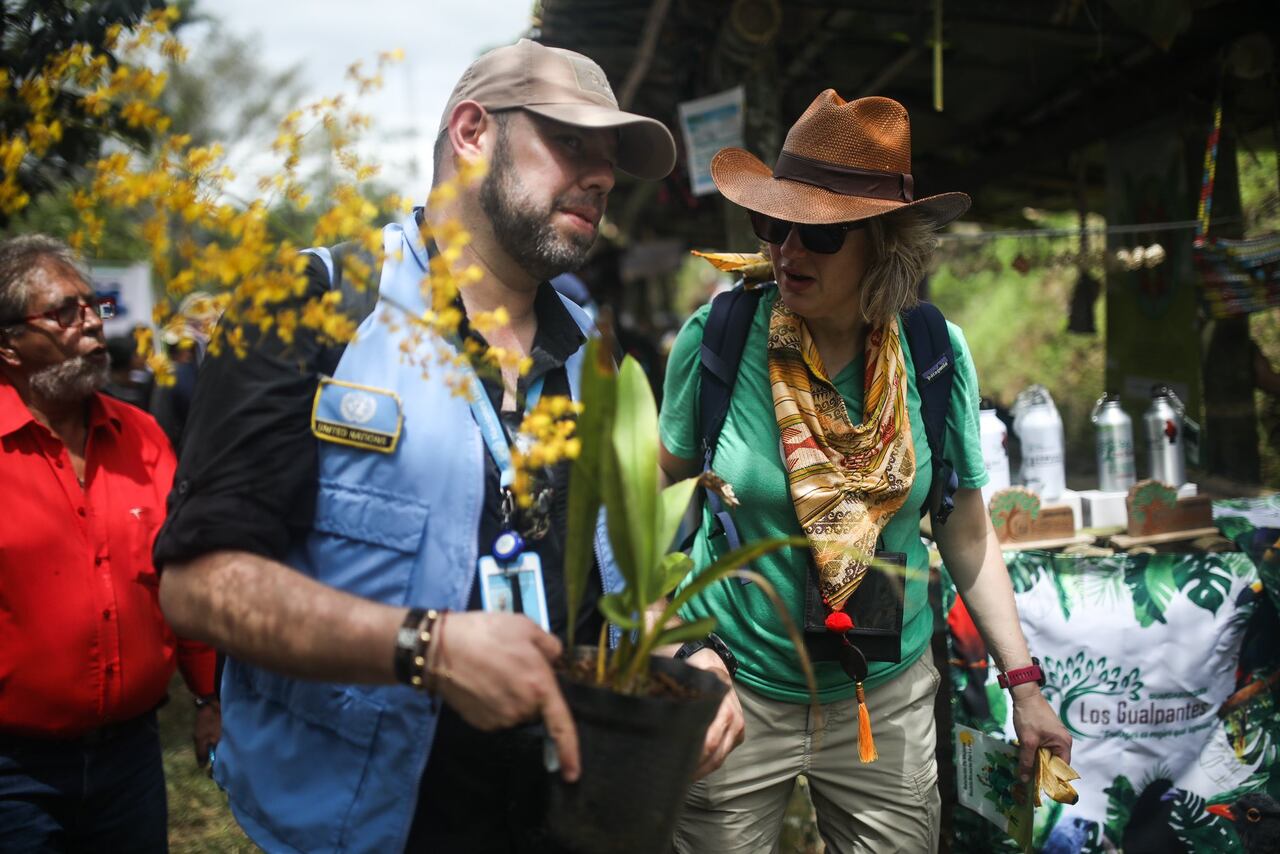 Jardín Botánico de Nueva York en Nariño