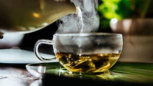 La planta de salvia ayuda a regular el nivel de azúcar en la sangre.