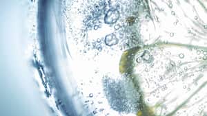 Las aguas con gas o carbonatadas son altas en sodio, por lo que pueden afectar la salud.