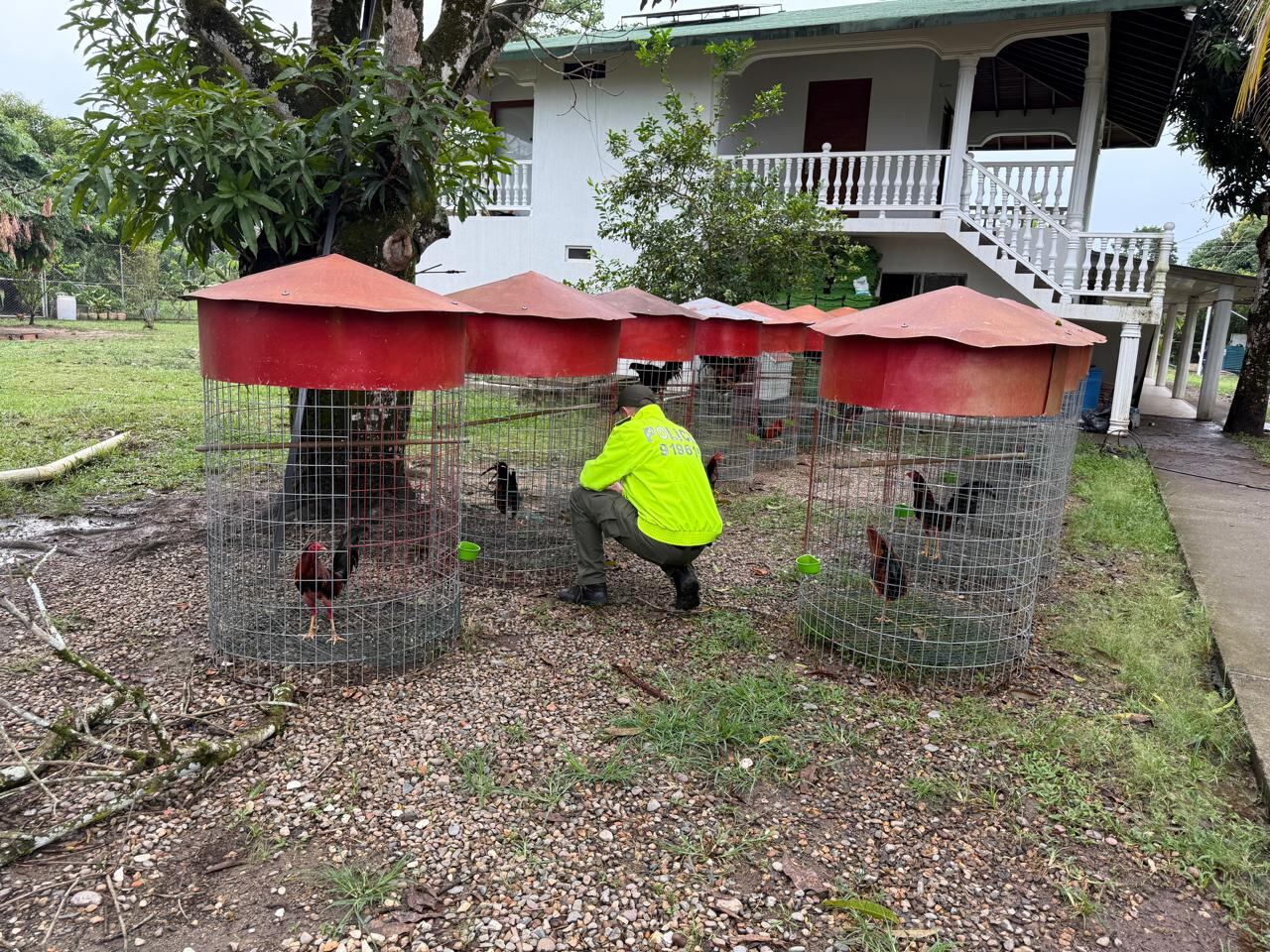 Juan Antonio Gil alias Toño, narco al servicio del Tren de Aragua