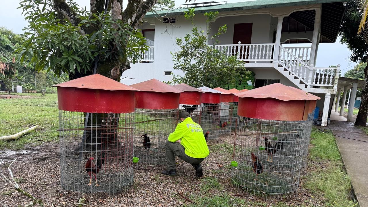 Juan Antonio Gil alias Toño, narco al servicio del Tren de Aragua