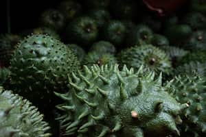 La pulpa de guanábana puede consumirse directamente, sin necesidad de agregar endulzantes.