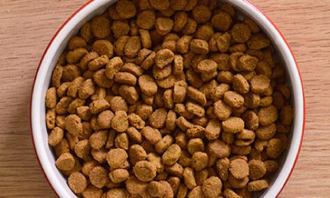 Comida para mascotas Nestlé