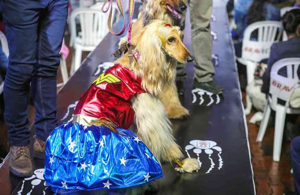 Foto: Carlos Julio Martínez / SEMANA