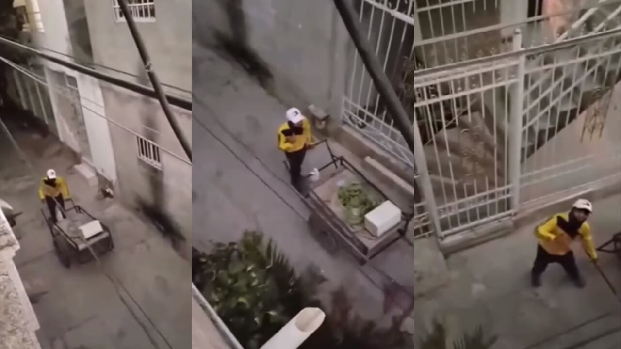 Los internautas no paran de aplaudir su talento