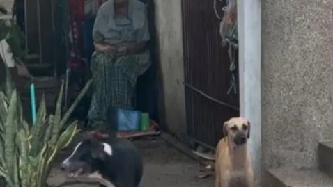 Sitio donde se registró el caso en el norte de Barranquilla.