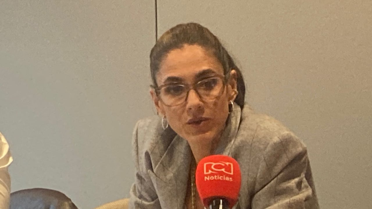 Natalia Gutiérrez, presidenta del Consejo Gremial, sobre el problema eléctrico