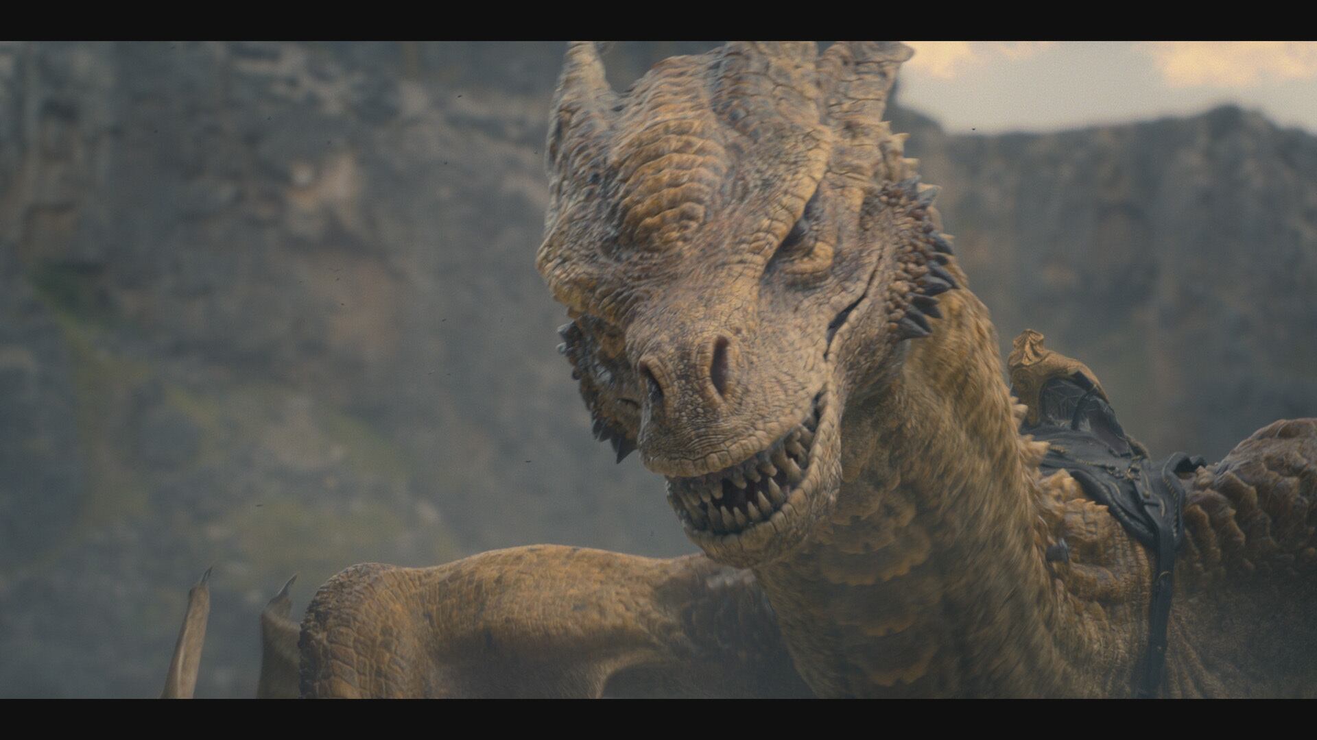 Nada como un tierno dragoncito en búsqueda de alguien que lo monte.