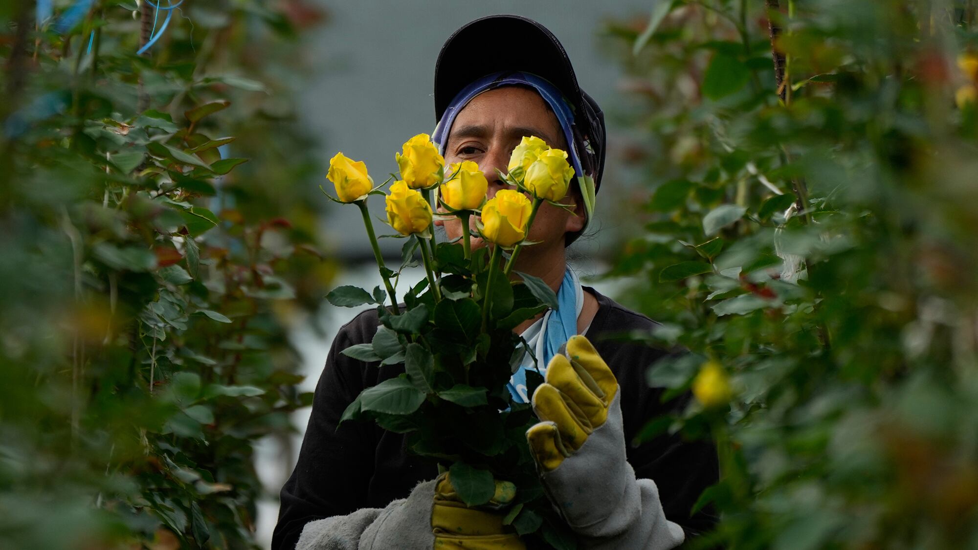 Fotos de la semana 6 febrero
