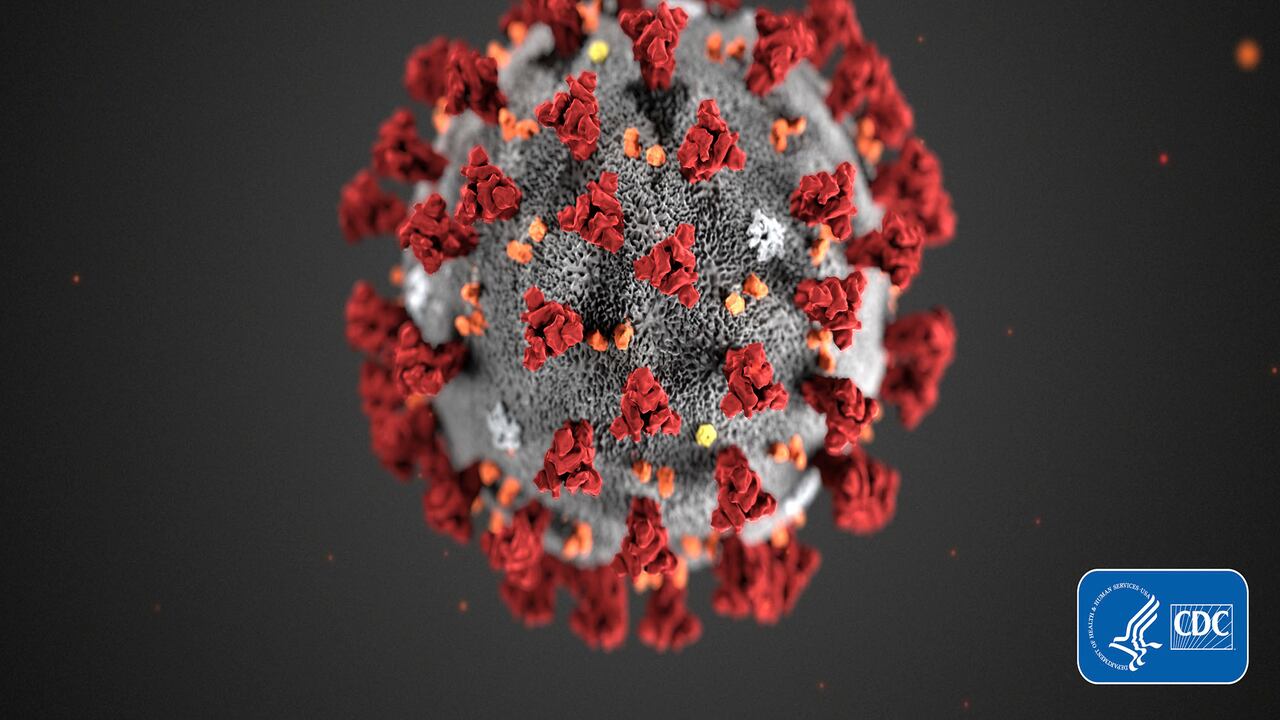 Esta ilustración proporcionada por los Centros para el Control y la Prevención de Enfermedades (CDC) en enero de 2020 muestra el nuevo coronavirus de 2019 (2019-nCoV). El orbe espinoso está en todos los sitios médicos y de noticias. Está en toda la televisión y en los folletos para la limpieza de automóviles COVID. Foto: CDC vía AP.