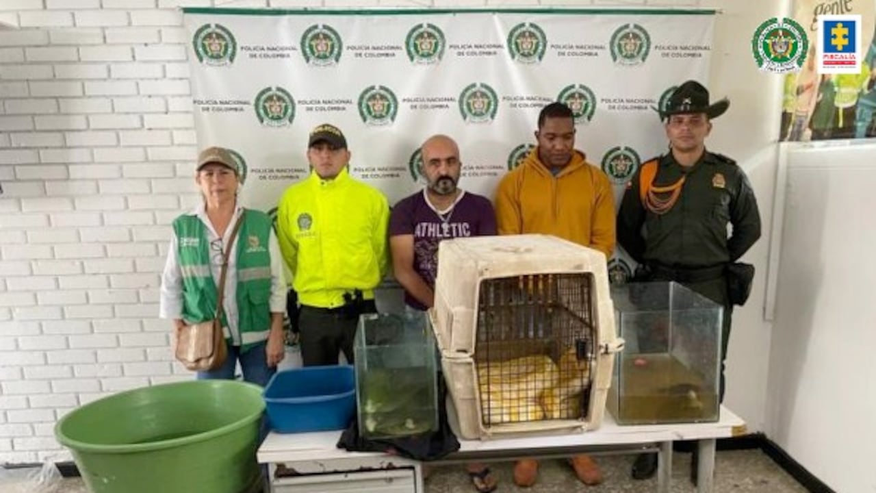 Fiscalía General de la Nación capturó dos de los presuntos comercializadores de animales silvestres en el país.