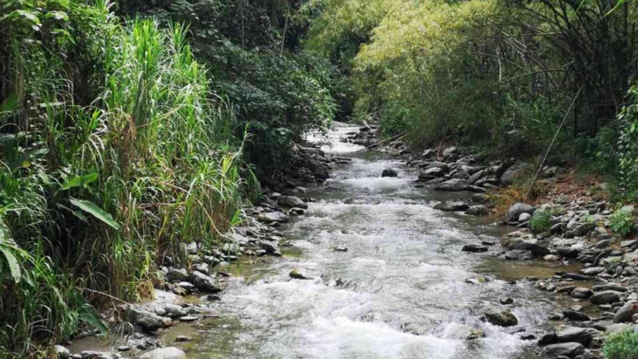 El río Quindío enfrente problemas de contaminación por vertimentos sucios en sus aguas. Foto tomada de Caracol Radio