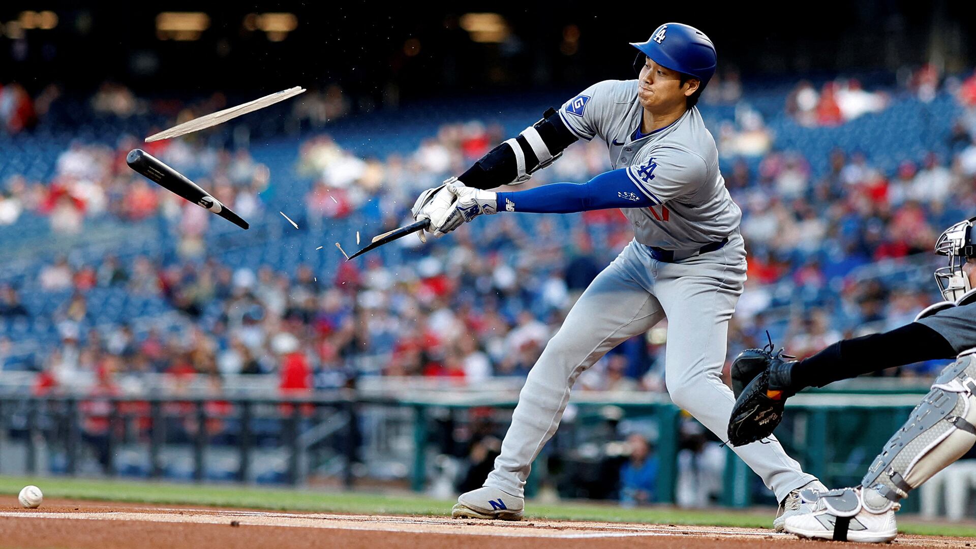 Fotos de la semana 26 abril