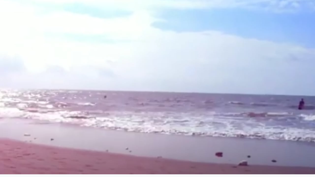 Admire la belleza de las playas del Pacífico colombiano