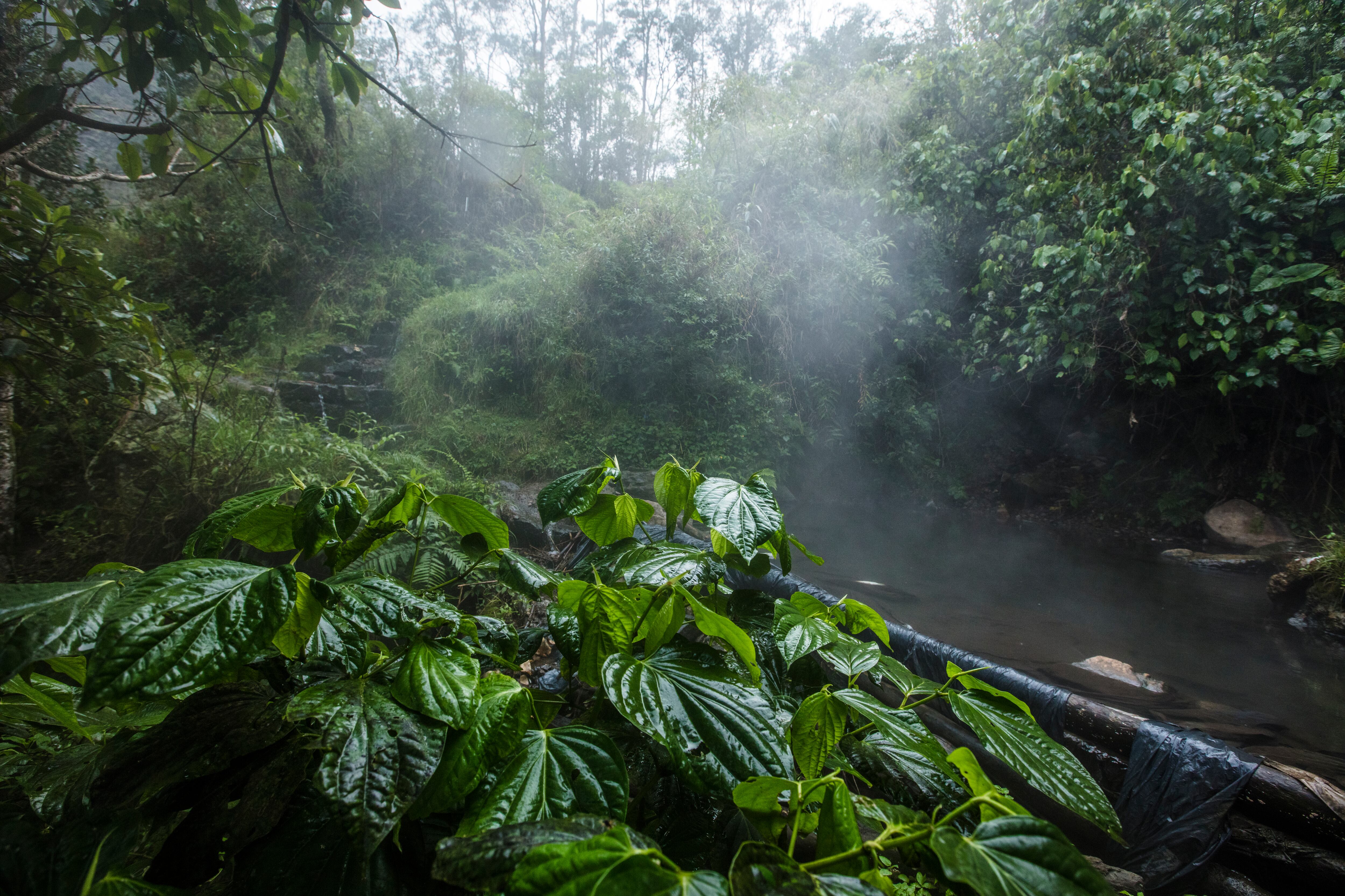 El desarrollo del proyecto podría generar graves afectaciones a los recursos naturales y el entorno.