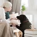 Perro y paciente con cáncer.