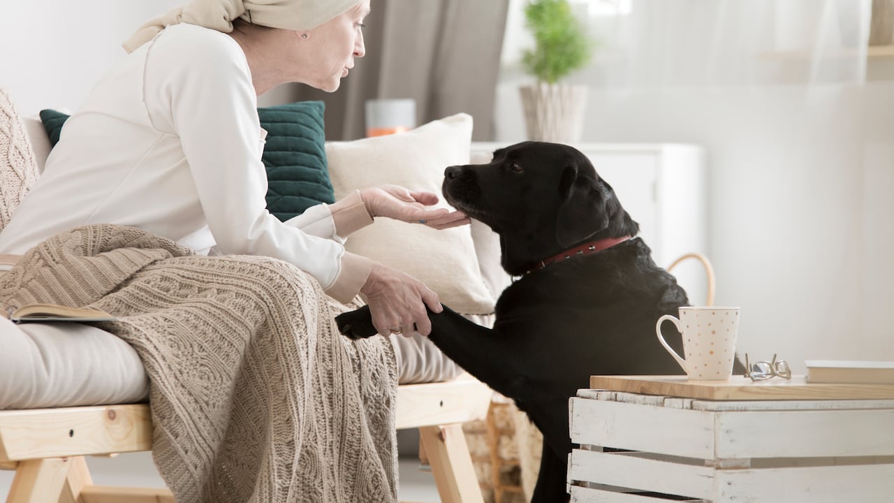 Los pacientes con cáncer se caracterizan por tener pérdida de cabello.