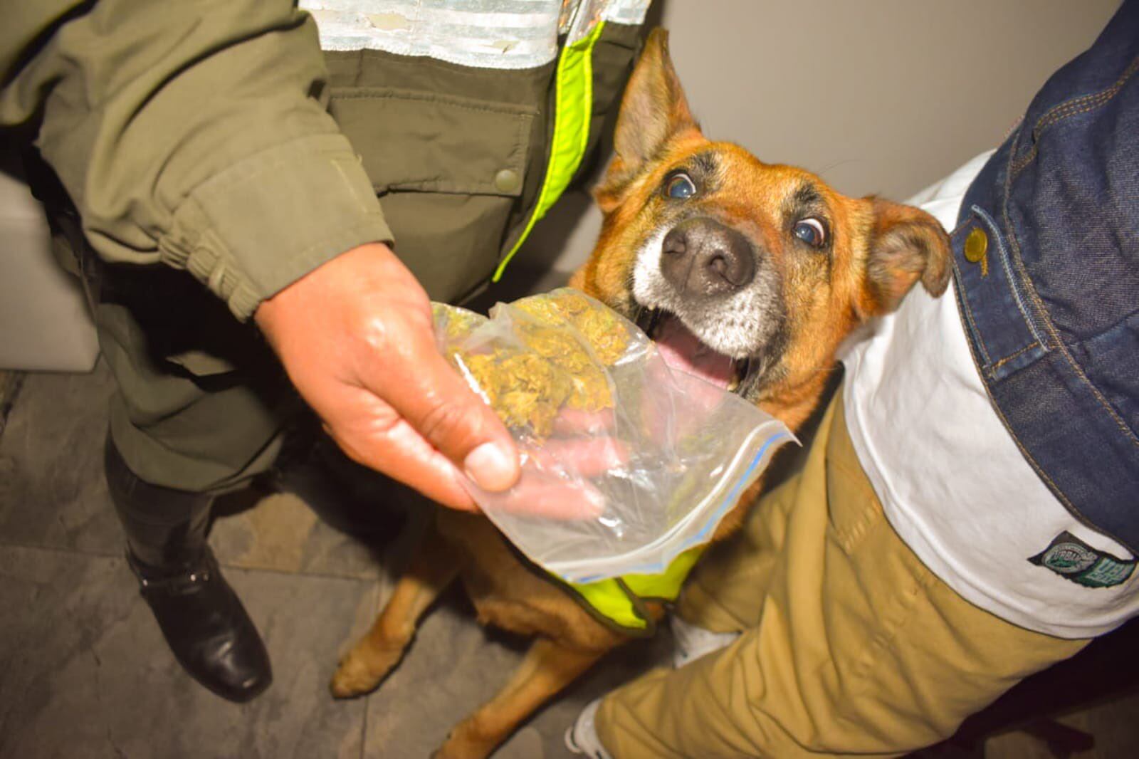 En el local incautaron dosis de drogas.