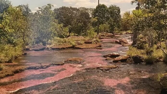 Río Tranquilandia en Guaviare, un lugar mágico escondido entre la selva