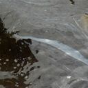 La emergencia se generaría por las protestas campesinas que se están desarrollando en la zona.