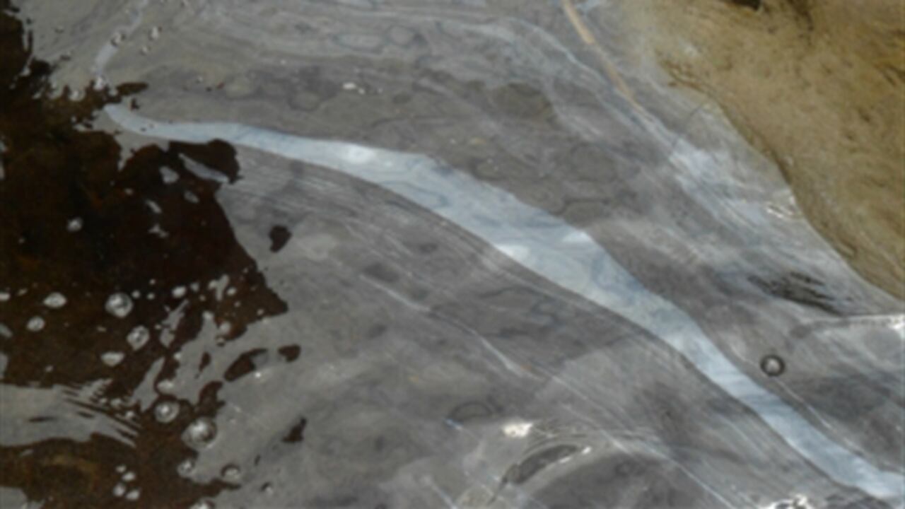 La emergencia se generaría por las protestas campesinas que se están desarrollando en la zona.