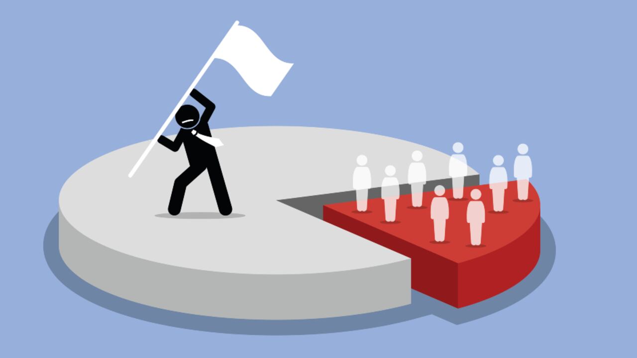 accionistas minoritarios