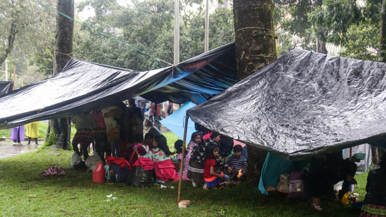 Es tal la situación, que la Alcaldía reportóla radicación de hasta 12 denuncias ante la Fiscalía General de la Nación por hechos como maltrato, negligencia, constreñimiento, uso de menores y violencia intrafamiliar. Foto: Colprensa / El País.