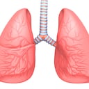 ¡Tome nota! Estos son los hábitos diarios que dañan sus pulmones