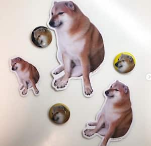 balltze era atendido por los médicos desde hace 6 meses