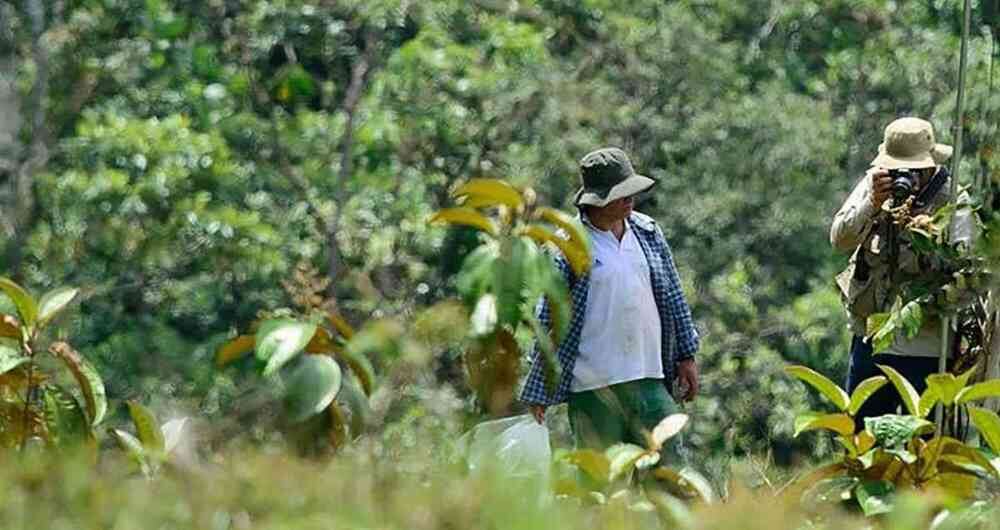 Los guardabosques intentan mantener protegido la riqueza natural de los parques nacionales. Foto: Parques Naturales Nacionales de Colombia. 