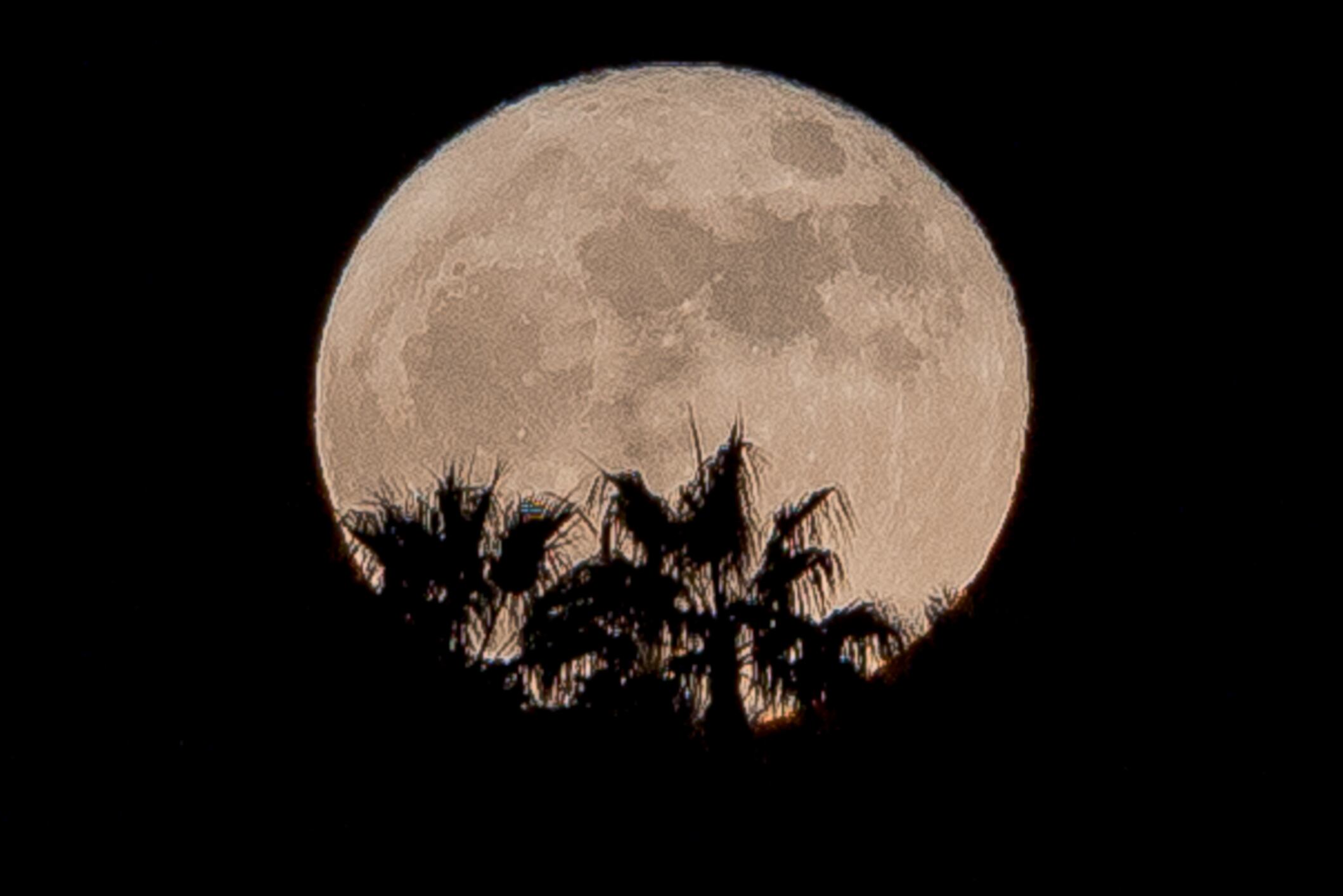 Los astrólogos dicen que la Luna tiene una influencia en los signos zodiacales.