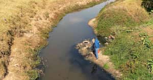 La descontaminación del río Bogotá depende en un 70% de la construcción de la Ptar Canoas. Foto: Archivo Semana
